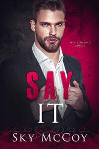 Say It (Fascination Series) Book 1: M/M Romance
